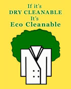 If it's Dry Cleanable, It's Eco Cleanable